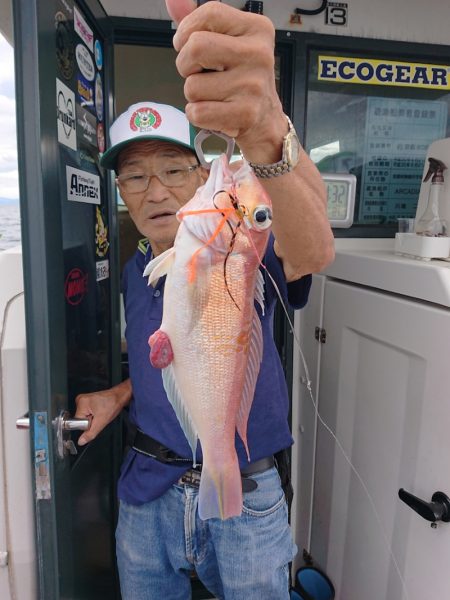 ARCADIAⅡ (アルカディアⅡ) 釣果