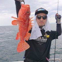 ARCADIAⅡ (アルカディアⅡ) 釣果