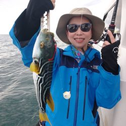 ARCADIAⅡ (アルカディアⅡ) 釣果