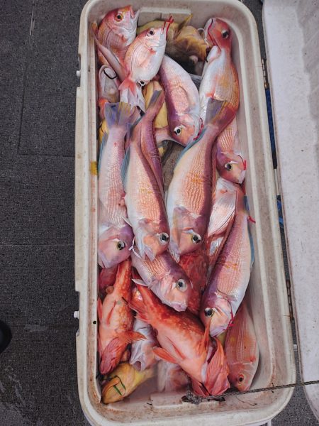 ARCADIAⅡ (アルカディアⅡ) 釣果