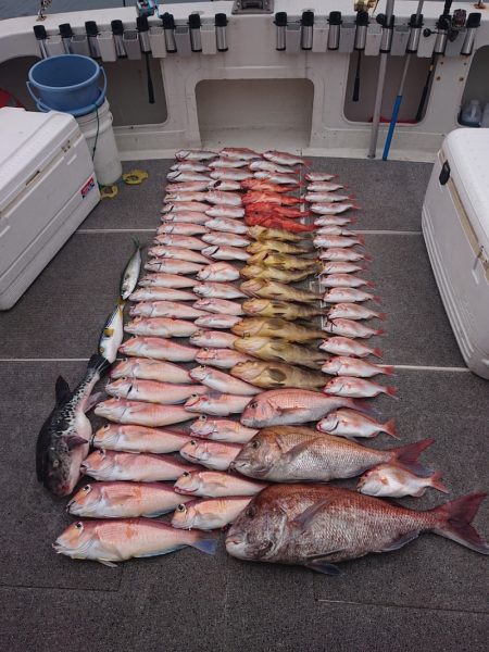 ARCADIAⅡ (アルカディアⅡ) 釣果