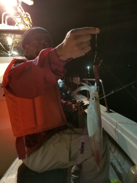 アマテラス 釣果