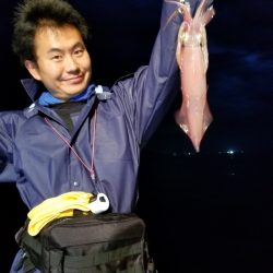 アマテラス 釣果