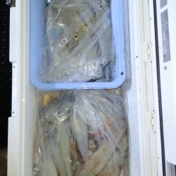 第二龍勢丸 釣果