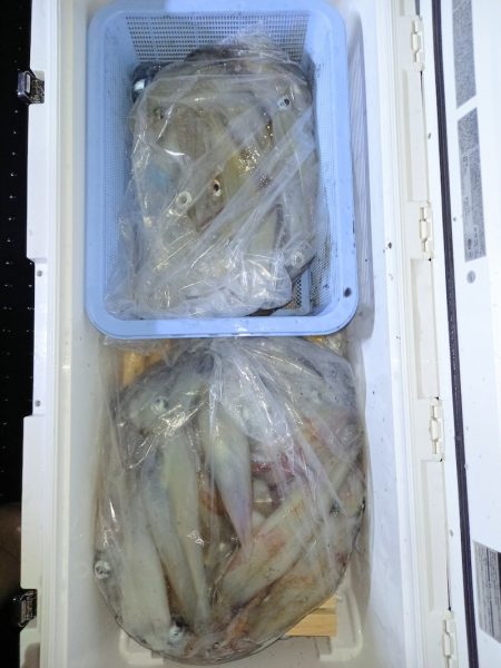 第二龍勢丸 釣果