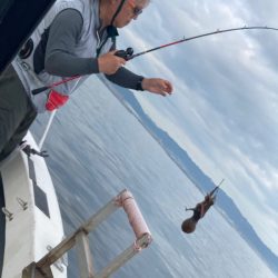 Ｖ−７ West 釣果