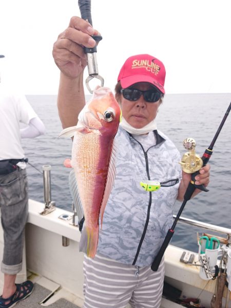 ARCADIAⅡ （アルカディアⅡ） 釣果