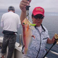 ARCADIAⅡ （アルカディアⅡ） 釣果