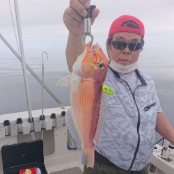 ARCADIAⅡ （アルカディアⅡ） 釣果