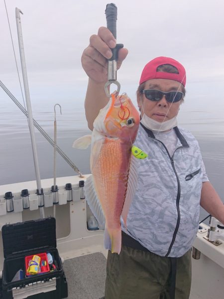 ARCADIAⅡ （アルカディアⅡ） 釣果