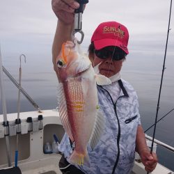 ARCADIAⅡ （アルカディアⅡ） 釣果