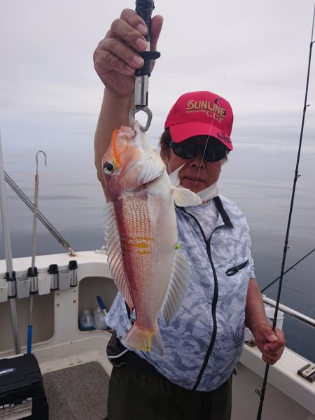 ARCADIAⅡ （アルカディアⅡ） 釣果