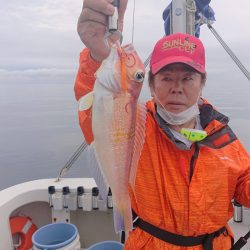 ARCADIAⅡ （アルカディアⅡ） 釣果