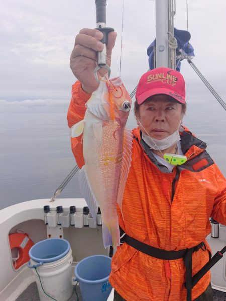 ARCADIAⅡ （アルカディアⅡ） 釣果