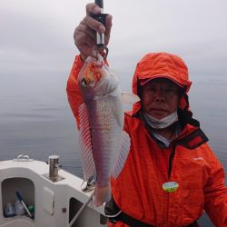 ARCADIAⅡ （アルカディアⅡ） 釣果