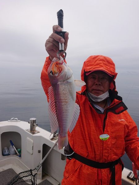 ARCADIAⅡ （アルカディアⅡ） 釣果