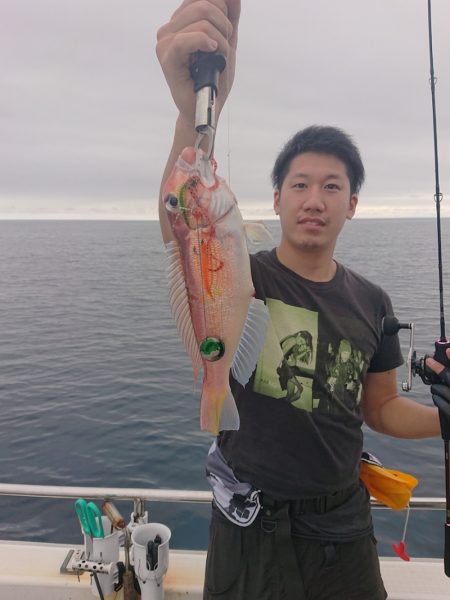 ARCADIAⅡ （アルカディアⅡ） 釣果