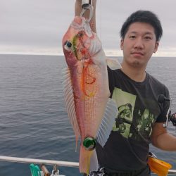 ARCADIAⅡ （アルカディアⅡ） 釣果