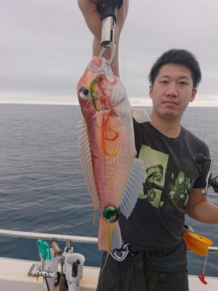 ARCADIAⅡ （アルカディアⅡ） 釣果