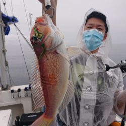 ARCADIAⅡ （アルカディアⅡ） 釣果