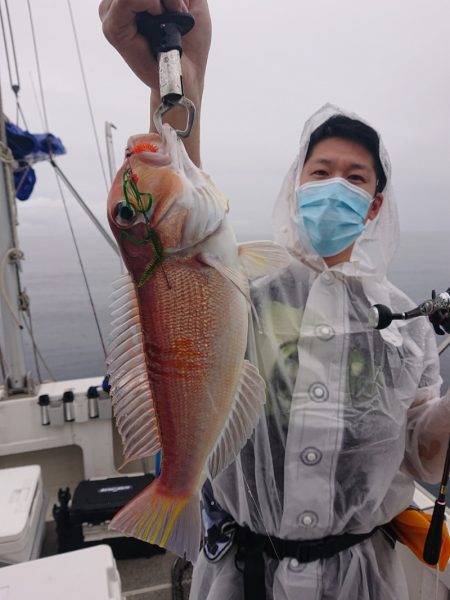 ARCADIAⅡ （アルカディアⅡ） 釣果