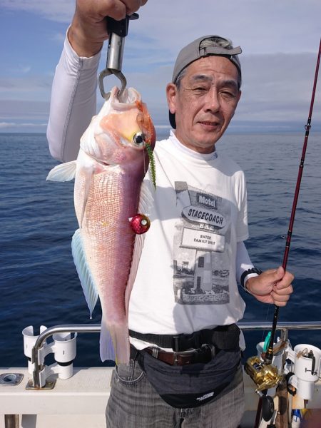 ARCADIAⅡ （アルカディアⅡ） 釣果