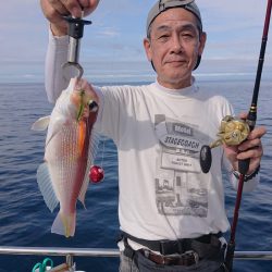 ARCADIAⅡ （アルカディアⅡ） 釣果