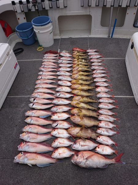 ARCADIAⅡ （アルカディアⅡ） 釣果