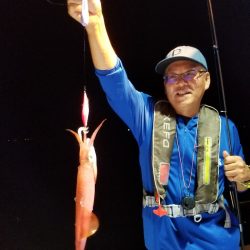 アマテラス 釣果