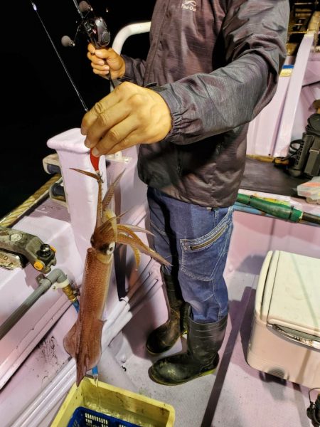 海龍丸(石川) 釣果