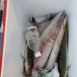 海龍丸(石川) 釣果