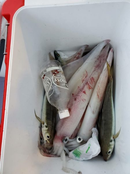 海龍丸(石川) 釣果