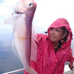 ARCADIAⅡ (アルカディアⅡ) 釣果