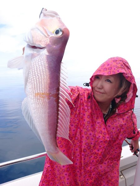 ARCADIAⅡ (アルカディアⅡ) 釣果