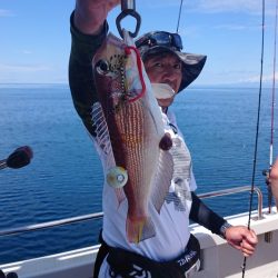 ARCADIAⅡ (アルカディアⅡ) 釣果