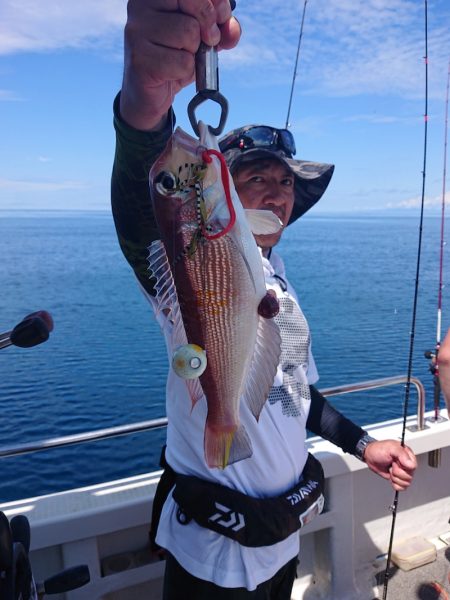 ARCADIAⅡ (アルカディアⅡ) 釣果