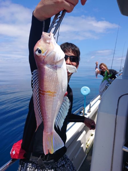 ARCADIAⅡ (アルカディアⅡ) 釣果