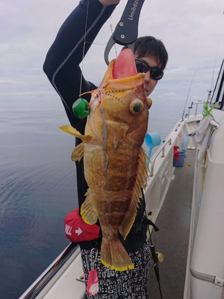 ARCADIAⅡ (アルカディアⅡ) 釣果