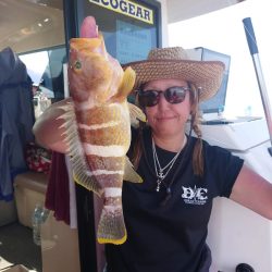 ARCADIAⅡ (アルカディアⅡ) 釣果