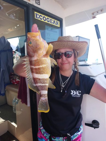 ARCADIAⅡ (アルカディアⅡ) 釣果