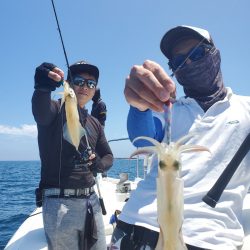 ソルトウォーターガイドフレンズ 釣果