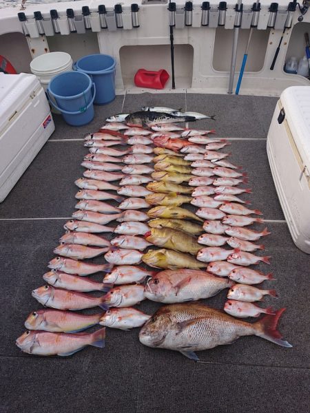 ARCADIAⅡ (アルカディアⅡ) 釣果