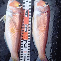 第二龍勢丸 釣果