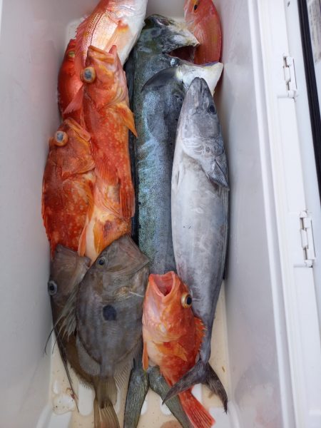 第二龍勢丸 釣果