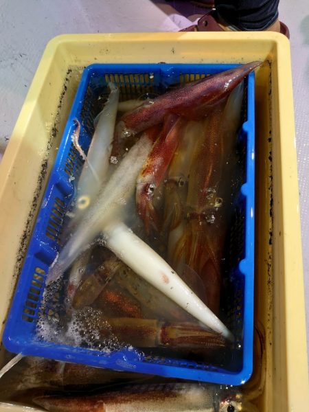 海龍丸（石川） 釣果