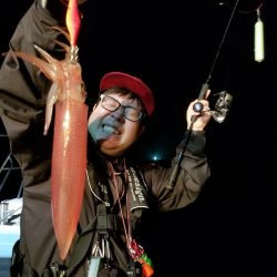 アマテラス 釣果