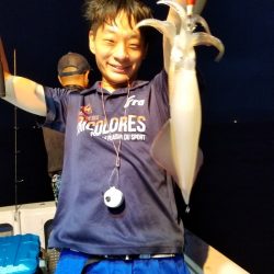 アマテラス 釣果