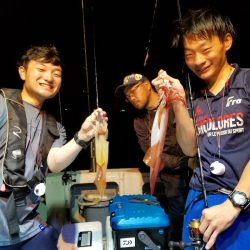 アマテラス 釣果