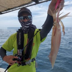 ソルトウォーターガイドフレンズ 釣果