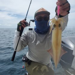 ソルトウォーターガイドフレンズ 釣果